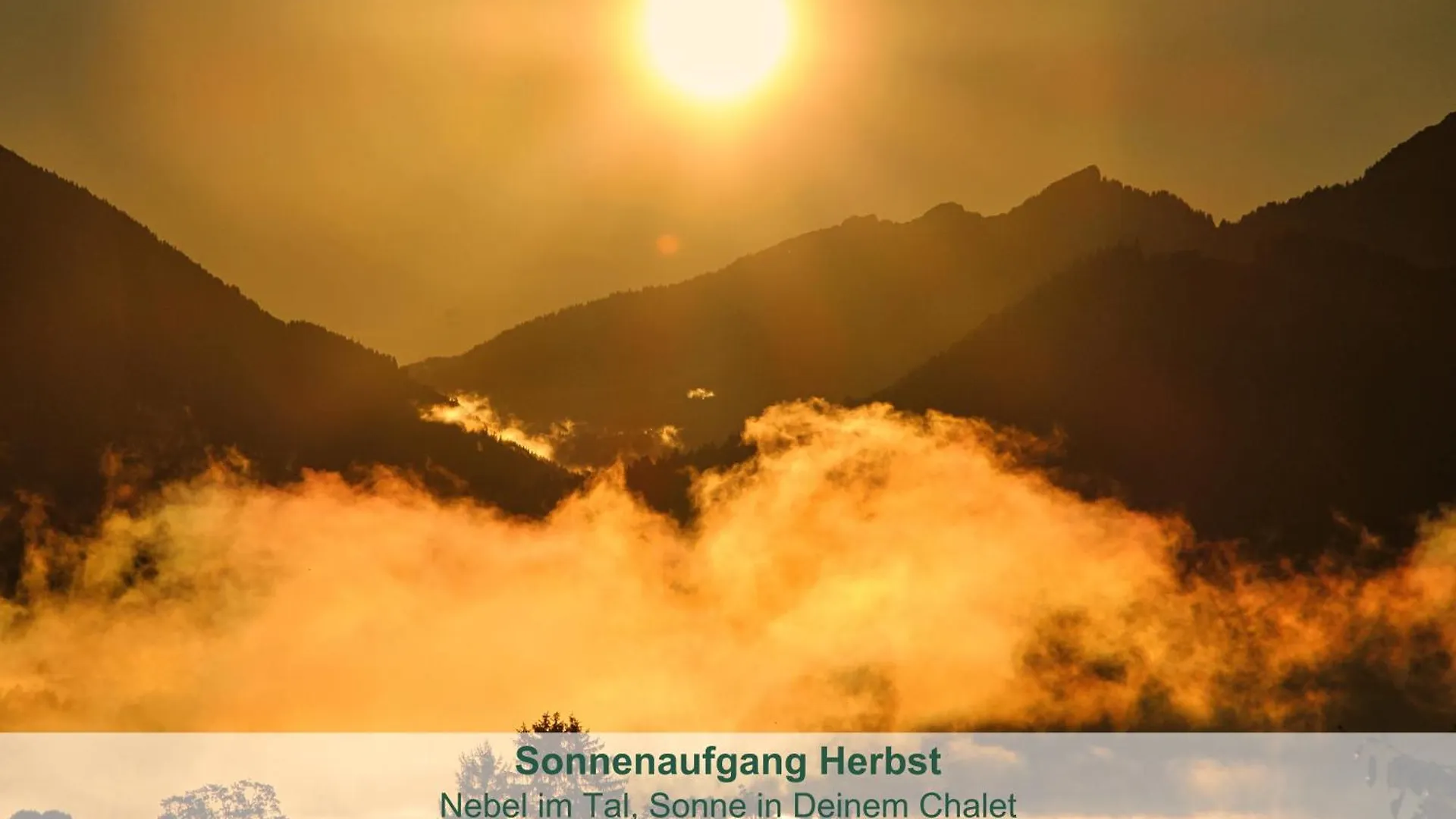 Chalet - Ferienwohnungen - Biohof Stoeger - Panoramasuedbalkon - Grandiose Aussicht Auf See, Berge Und Schloss Neuschwanstein Rieden